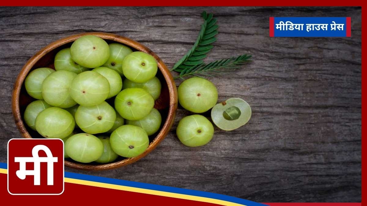 Delicious Amla Candy Recipe: A Healthy Treat Packed with Benefits!