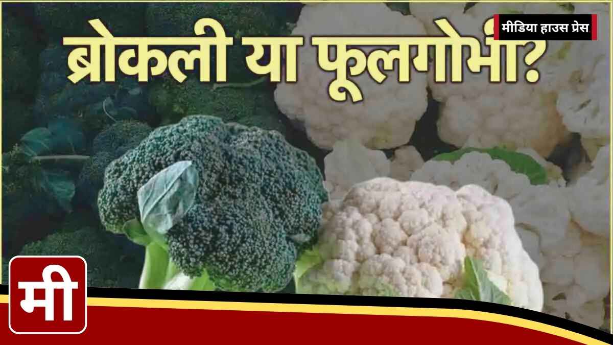 फूलगोभी vs ब्रोकली कौन सी सब्जी है आपकी सेहत के लिए बेहतर?