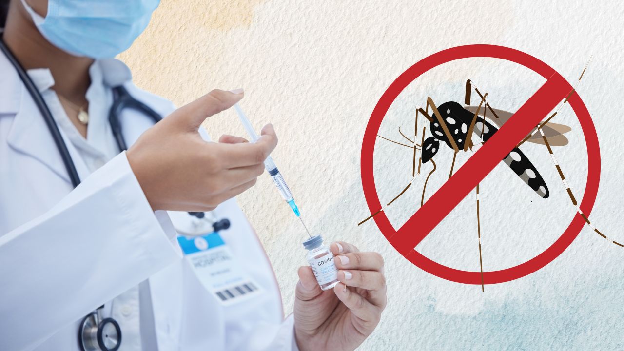 Dengue Vaccine, भारत में डेंगू के चारों स्ट्रेन को रोकने वाली वैक्सीन जल्द होगी उपलब्ध