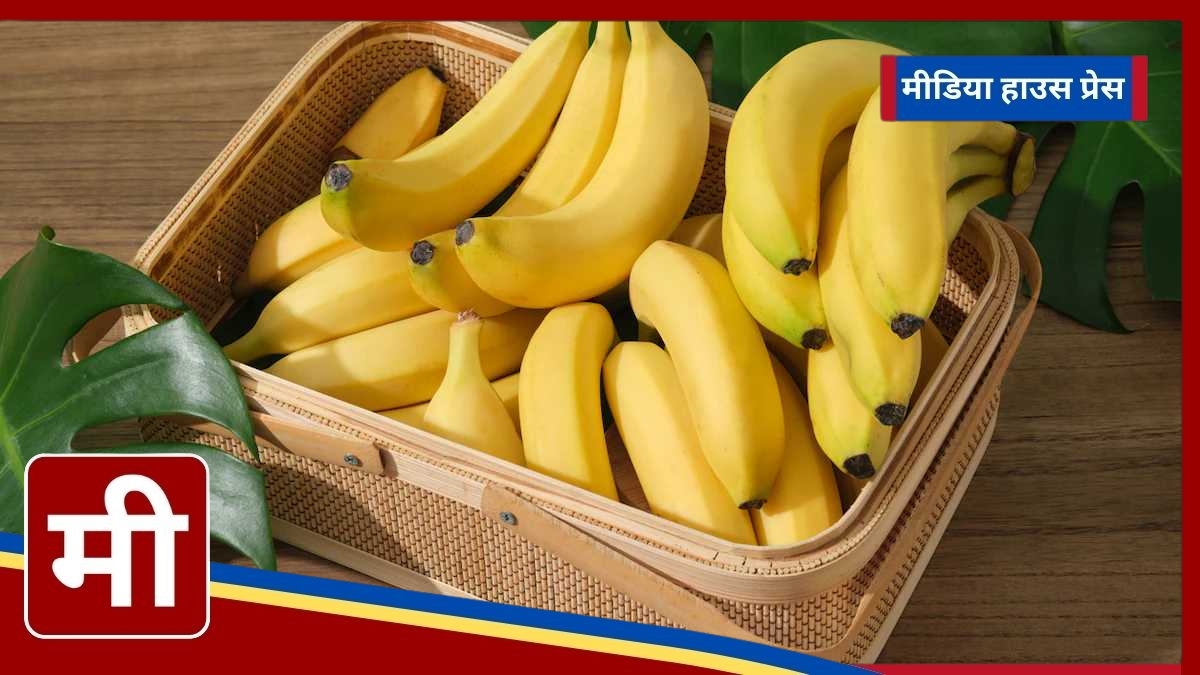 Bananas and Cough: Debunking the Myths Around This Popular Fruit