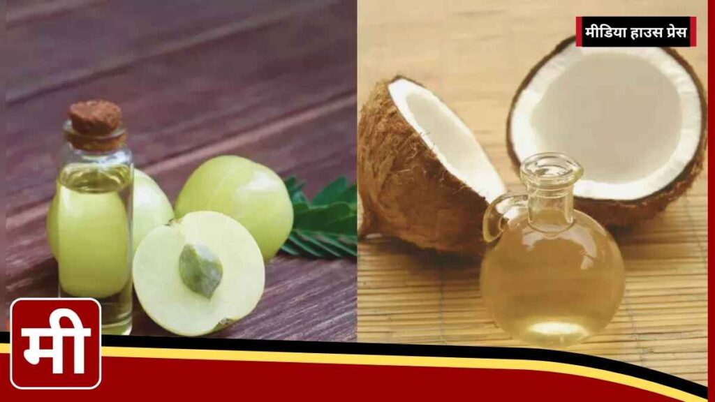 Amla Oil vs. Coconut Oil: Which is Better for Your Hair Care Routine?