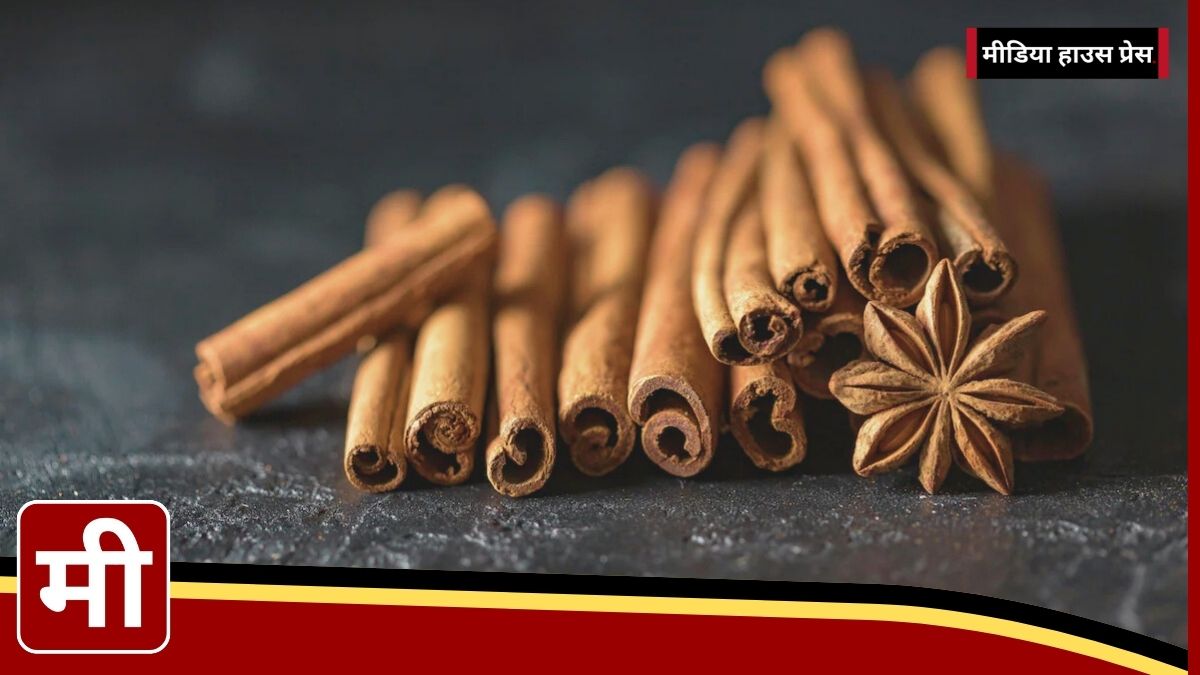 The Hidden Truth About Cinnamon: How to Ensure You’re Buying the Purest Form