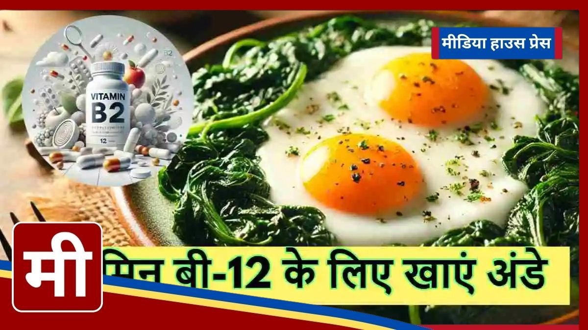 Vitamin B-12 deficiency in the body? These food combinations with eggs will provide complete nutrition.