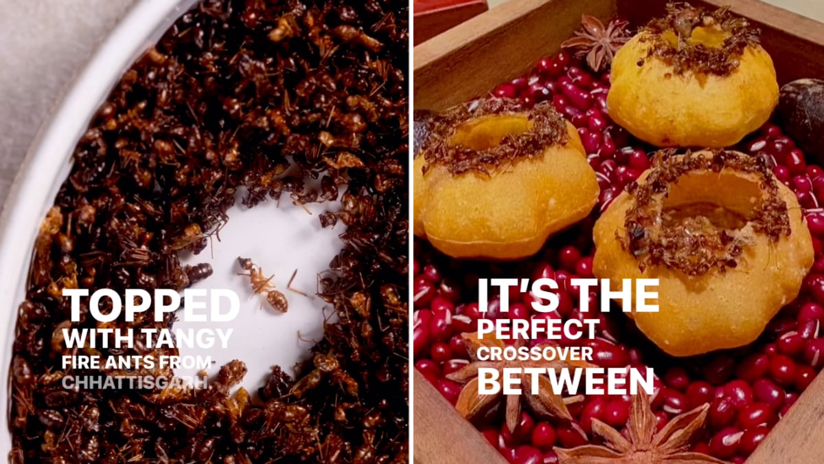 Revolutionizing Street Food: Water Puri with Ants Takes the Culinary World by Storm