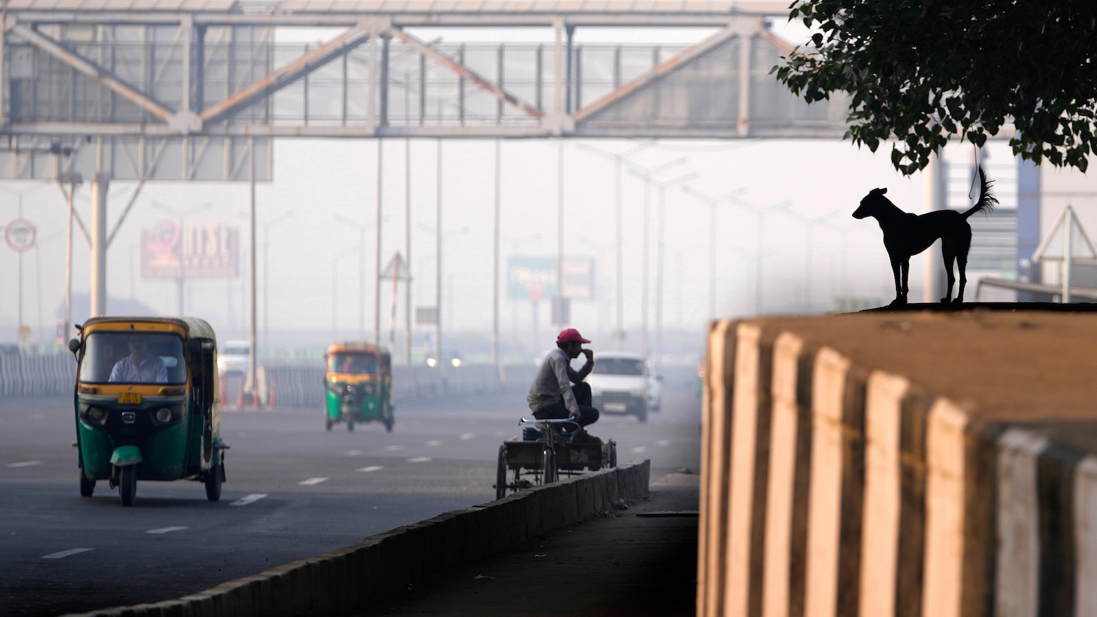 Toxic Haze Blankets New Delhi: Diwali Fireworks Push Air Pollution to Dangerous Levels