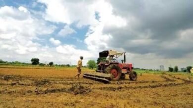 Bumper Debut! Dhanlaxmi Crop Science