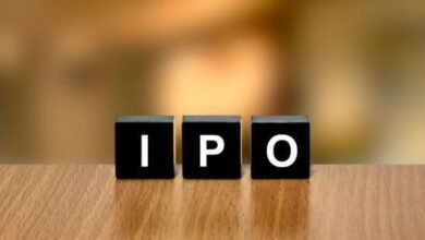 IPOs ku2D 621x414LiveMint 1734666797270 1734666797593.jpg