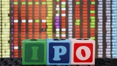 ipo kGxC 621x414LiveMint 1734507666098 1734507666353.jpg